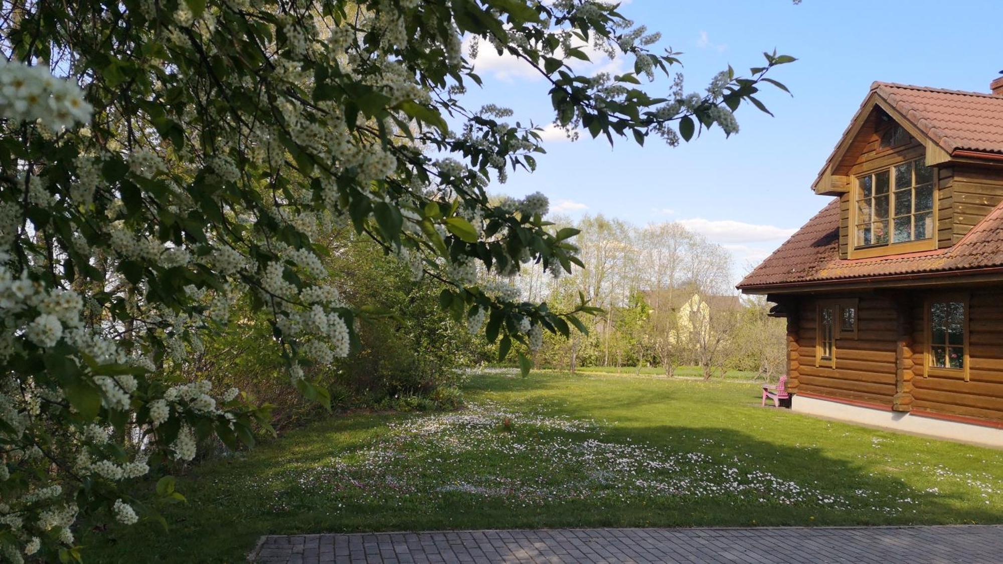 Dvinumajas Villa Balvi Bilik gambar